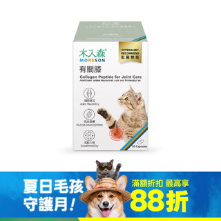 木入森 貓咪有關膝 60顆｜貓咪關節保健食品